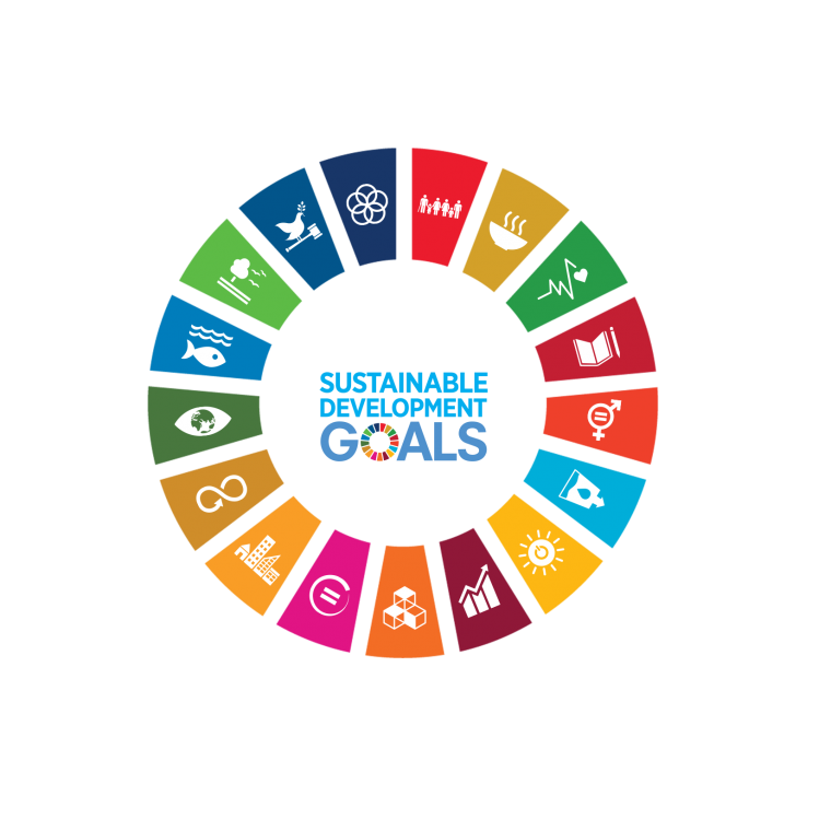 Vijf van de wegwijzers uit de sustainable development goals van de VN zijn onze drijfveren.